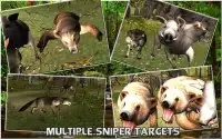 Jungle Sniper 3D Screen Shot 3