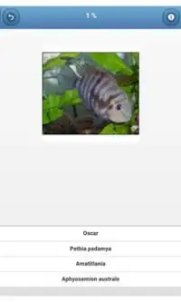 Aquarium fish - quiz Screen Shot 1