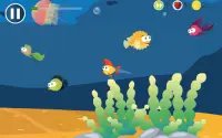 Angry Hungry Fish Screen Shot 3