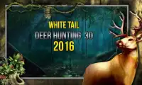 White Tail Deer Hunting 2016 Screen Shot 0