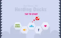 Herding Ducks Screen Shot 0
