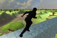 Ninja Run 3D Screen Shot 3