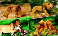Lion Hunting 2016 Screen Shot 5