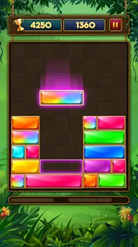 Slide N Drop - Falling Jewel Block Puzzle Screen Shot 3