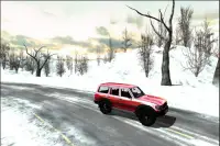 Car Racing Rally Winter Screen Shot 1