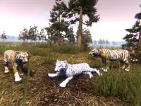 Wild Tiger Hunting Animal Life Screen Shot 6