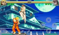 king fu fighter & Kung Fu Game Screen Shot 1