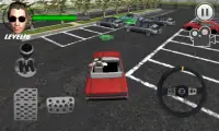 Crazy Parking Car King 3D Screen Shot 1