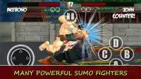 Sumo World Wrestler 3D - Sumotori Fight Revolution Screen Shot 4