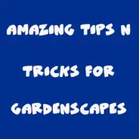 Guide for GardenScapes Screen Shot 1