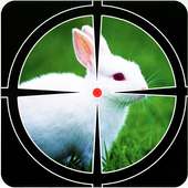 Rabbit Hunter Game