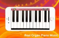 Real Organ Piano Music Screen Shot 1