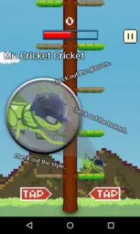 Cricket Jump Screen Shot 1