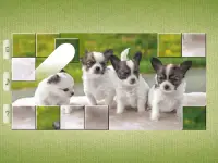 Dog Puzzles - Drag & Swap Screen Shot 18