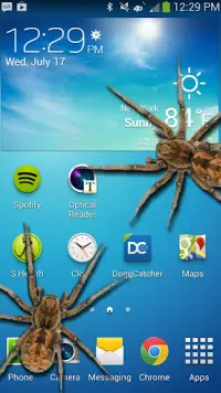 Spider in phone prank Screen Shot 1