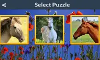 Horse Puzzles Free Screen Shot 0