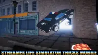 Tricks Streamer Life Simulator Screen Shot 2