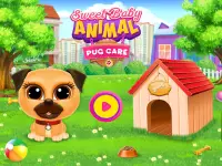 Pug Care Puppy Pet Baby Dog Daycare Screen Shot 0
