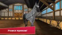 Horse Hotel - Уход за лошадьми Screen Shot 3