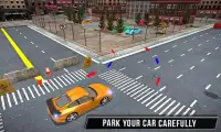 Driving School Sim Game Screen Shot 2