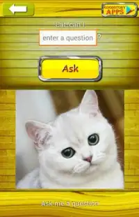 Zapytaj Cat 2 Tłumacz Screen Shot 5