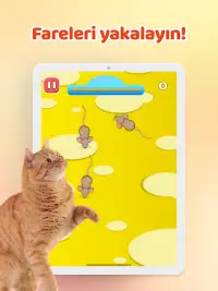 Kediler için Oyunlar - Fare Screen Shot 7