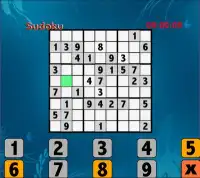 Sudoku Pro Screen Shot 2