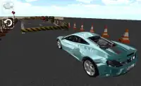 MC Parking 3D Screen Shot 1
