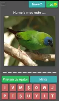 test de păsări Screen Shot 2