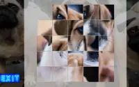 Puppy Dog Puzzle Slide - Sliding Tiles Game Screen Shot 4