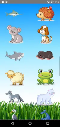Learn Animals  Name, Sounds, Pictures Screen Shot 6