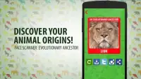 What Animal Origins Simulator Screen Shot 2