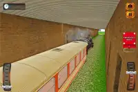 都市列車の冒険sim 2017を運転する Screen Shot 2