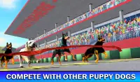 Pet Dog Run Simulator - Greyhound Racing Game Screen Shot 6