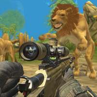 Wild Lion Sniper Hunting