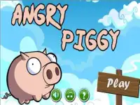 Angry Piggy Screen Shot 0