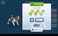 Dog Bite Prevention Strategy Screen Shot 7
