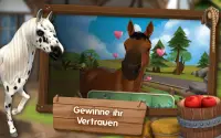 HorseHotel Premium - Pferdespiel für Pferdefreunde Screen Shot 8