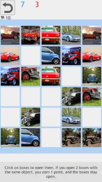 Pairs to test and train your memory Screen Shot 1