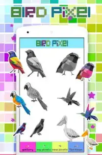 Coloring Bird Pixel Art, By Number Screen Shot 0