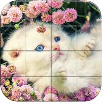 Tile Puzzle Cats