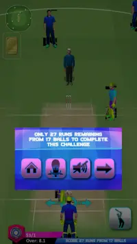 Fun Cricket 2019 Screen Shot 2