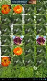 Summer Flowers: Memory (Free) Screen Shot 0