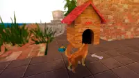 Furry Cutie: Simulateur de vie de chien miniature Screen Shot 0