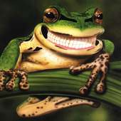 Funny Frogs Jigsaw Puzzles