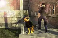 Dog Chase Simulator Screen Shot 0