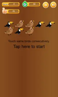 Touch Same Birds-consecutively Screen Shot 0