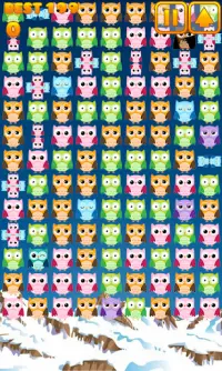 Cute Owl Pop Screen Shot 10