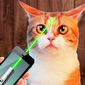 Wskaźnik laserowy dla kotów - symulator