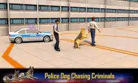 Airport Police Dog Duty Sim Screen Shot 2